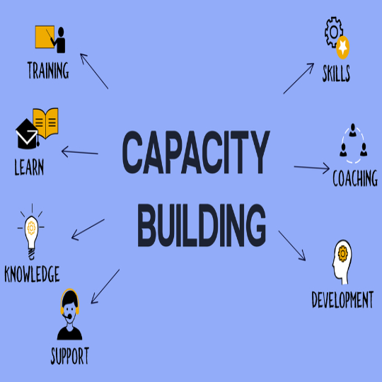 Capacity Building